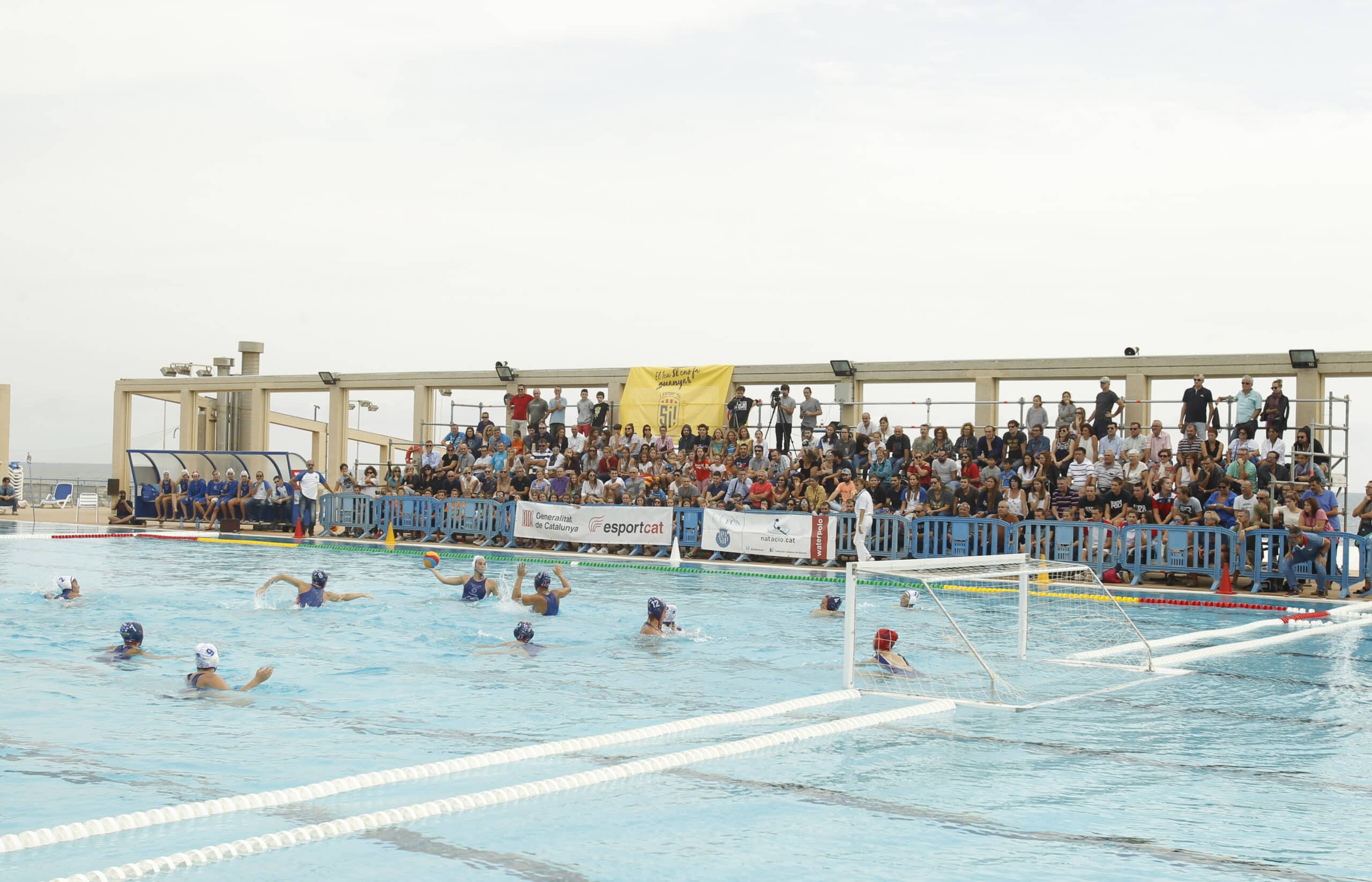 waterpolo femení