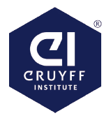 JOHAN CRUYFF INSTITUTE