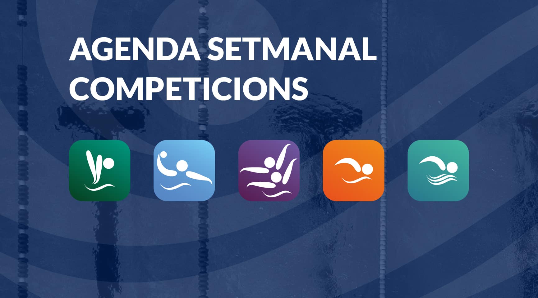 FEDERACIÓ – Competicions natacio.cat. Setmana del 7 al 13 de novembre de 2022