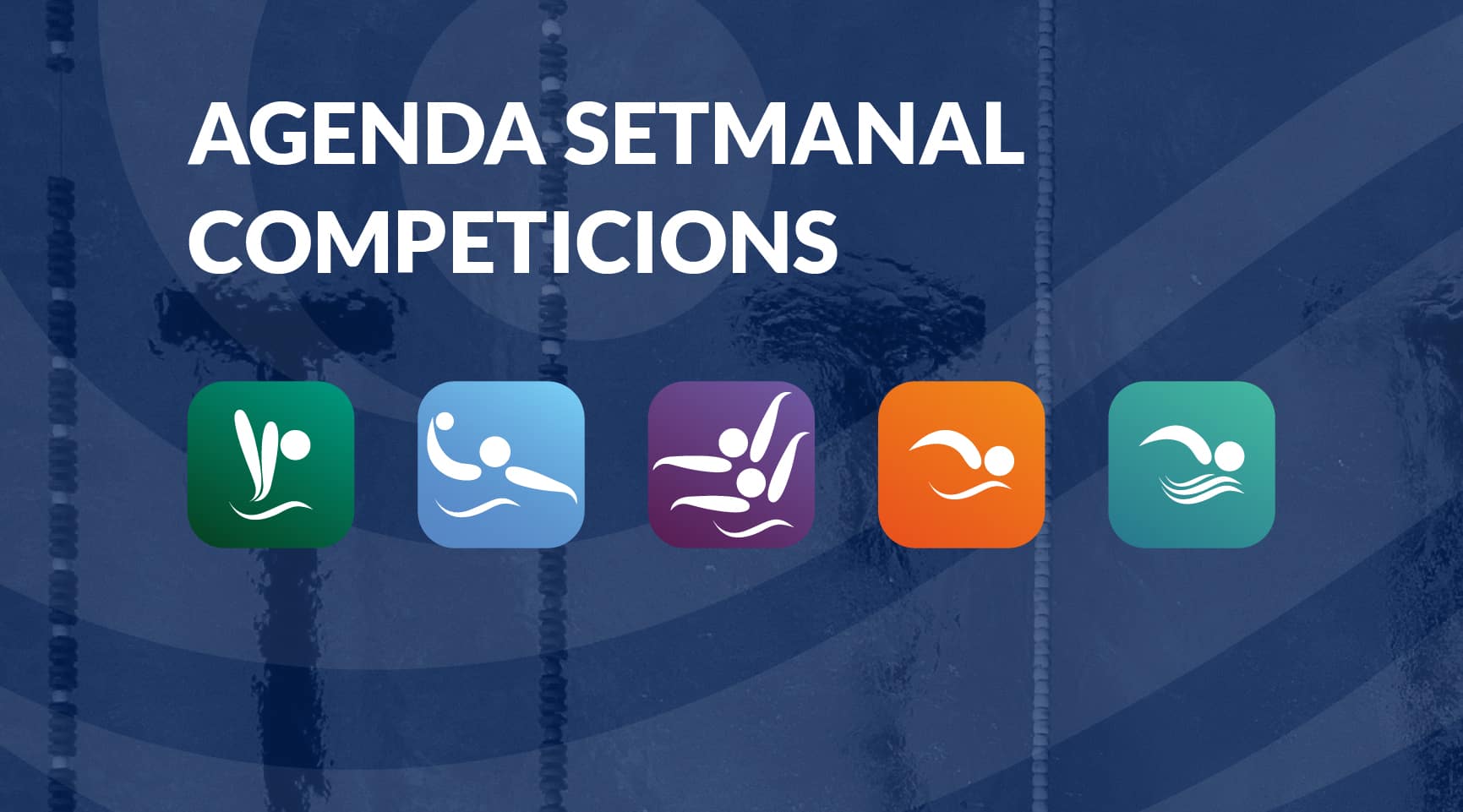 FEDERACIÓ – Competicions natacio.cat. Setmana del 28 de novembre al 4 de desembre de 2022