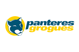 Panteres Grogues